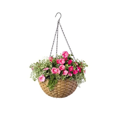 Panacea Productsrp GT14 NAT Hang Basket 82305GT